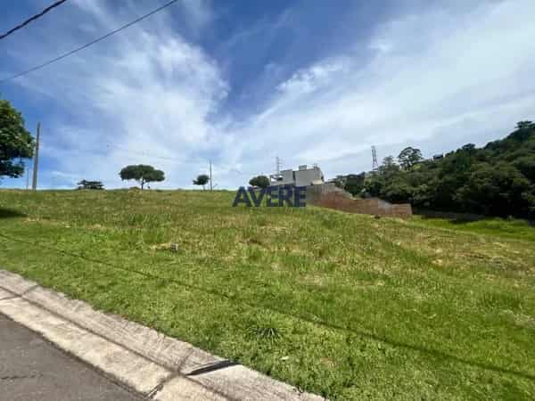 Campo de Toscana Vinhedo - foto 1