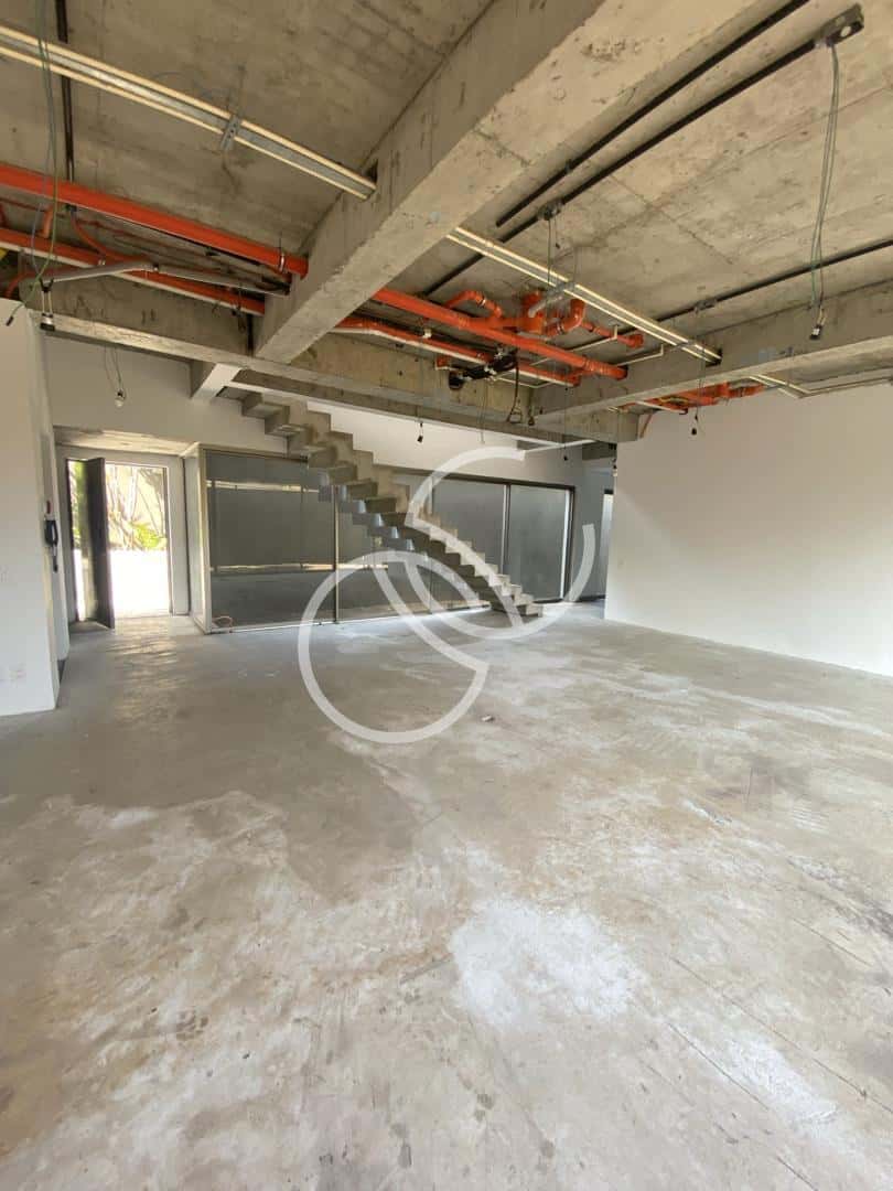 Elisa 159 - imagem 4