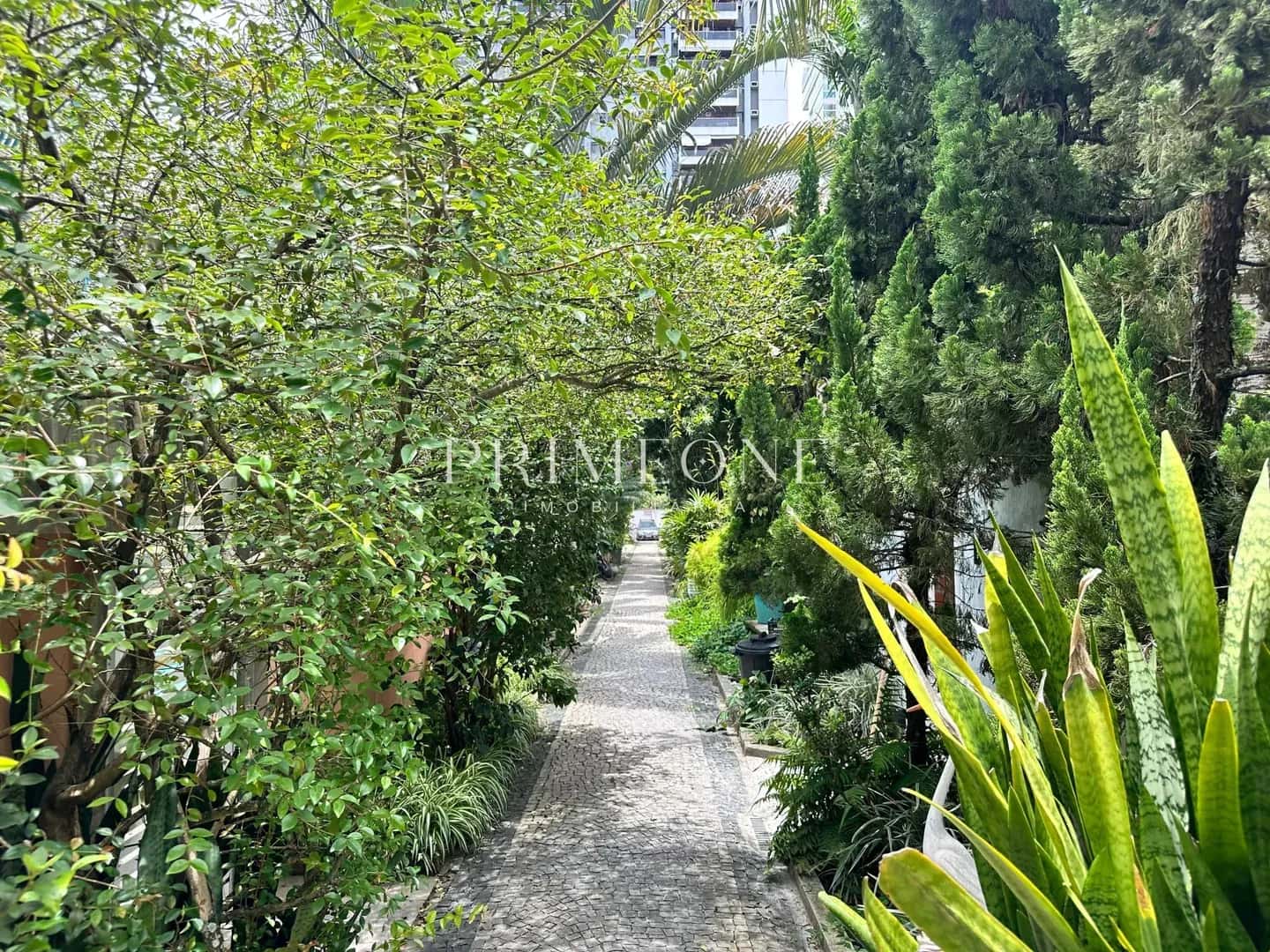 Condomínio Jardim Saint Tropez Barra da Tijuca - imagem 5