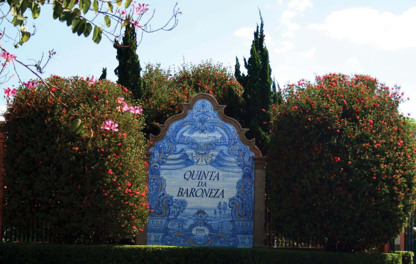 Condominio Quinta da Baroneza - imagem 2