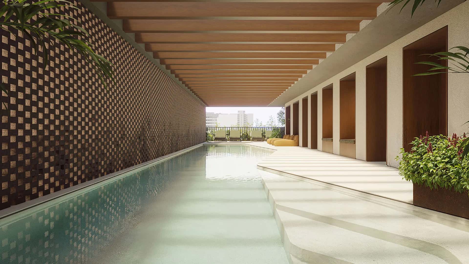 Primo Pinheiros - imagem 3