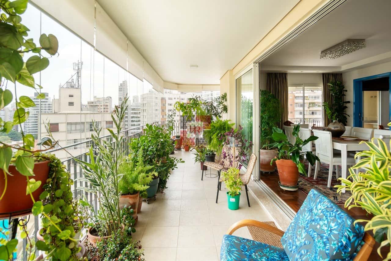 Lindenberg Tutoia Paraiso - imagem 2