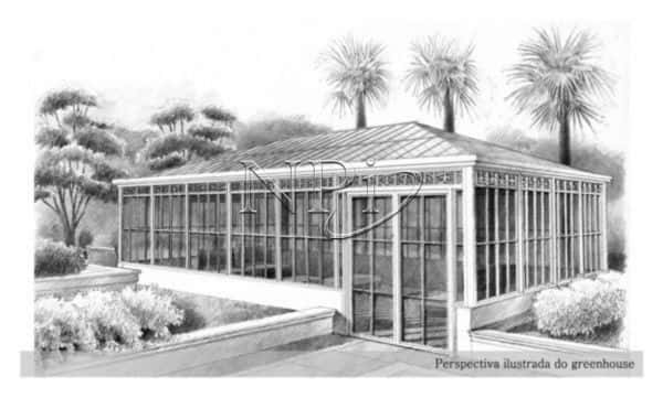 Lindenberg Tucumã - imagem 4