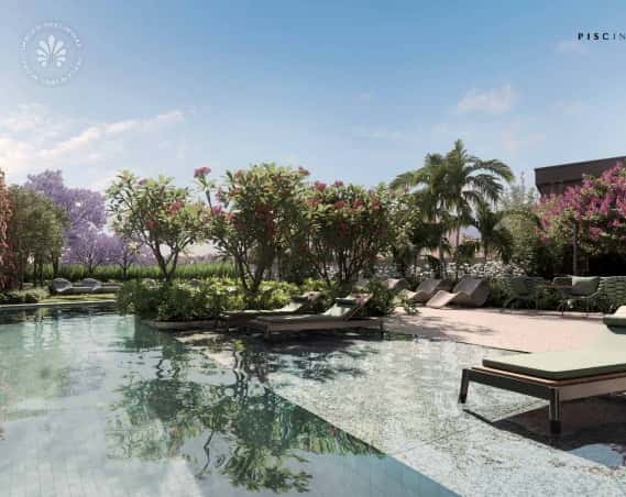 Lindenberg Reserva Paraiso - imagem 4