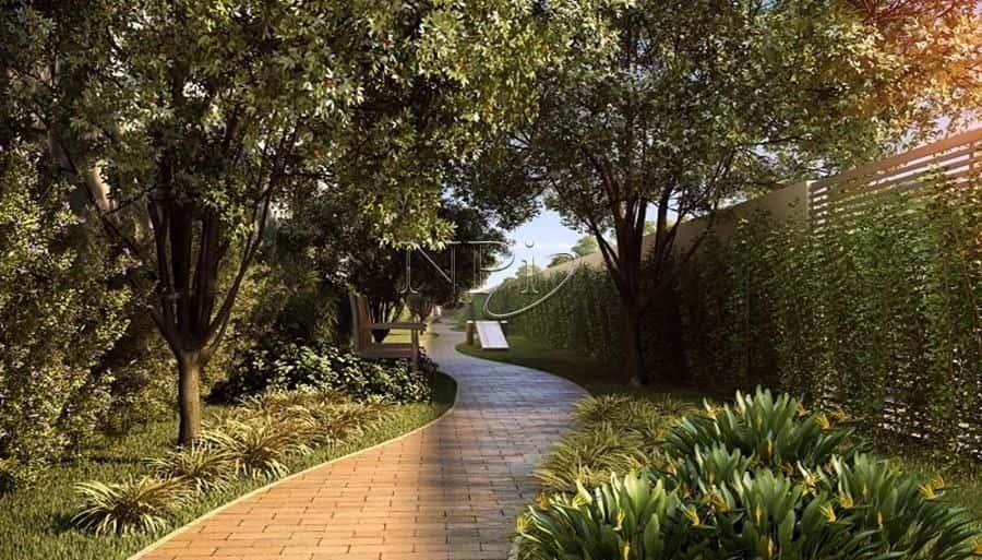 Caminhos Da Lapa  Vanguarda - imagem 4