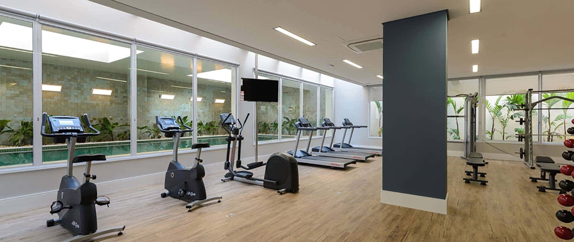 Gaivota 1081 Moema - imagem 5