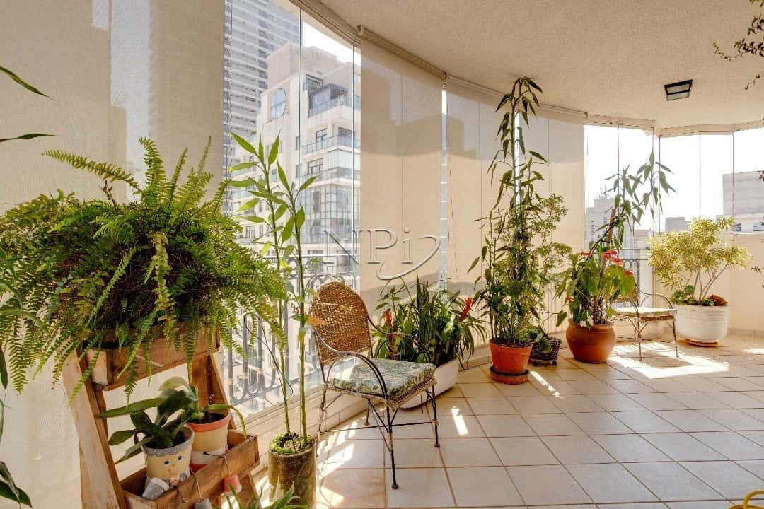 Rua Pedroso Alvarenga 771