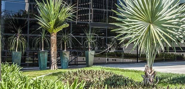 Edifício Funchal 411 - imagem 5