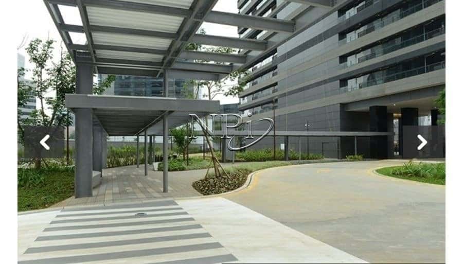 Parque da Cidade - Torre Paineira - imagem 3