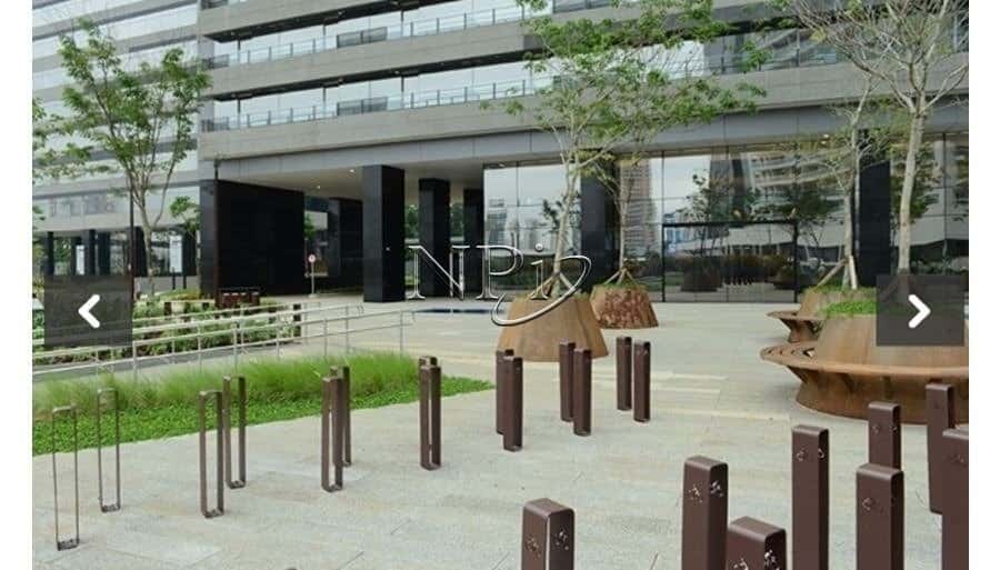 Parque da Cidade - Torre Paineira - imagem 4