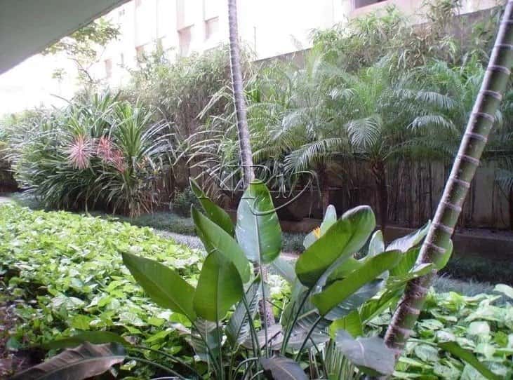 Edificio Uirapuru Bela Cintra 2060 - imagem 3