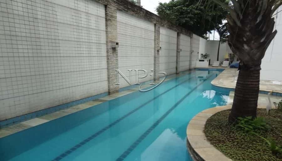 Legitimo Moema - imagem 5