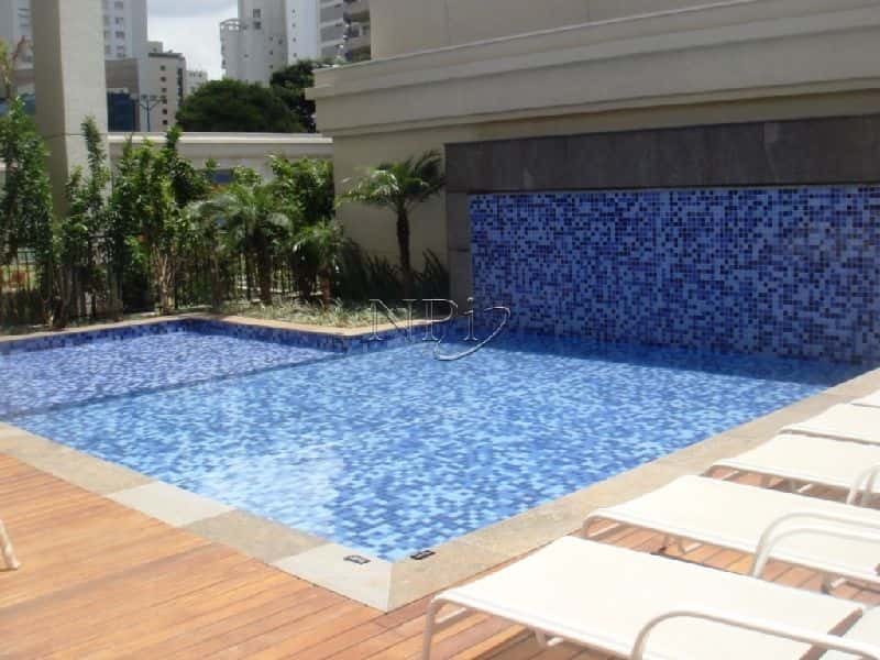 Le Premier Ibirapuera Parc - imagem 3