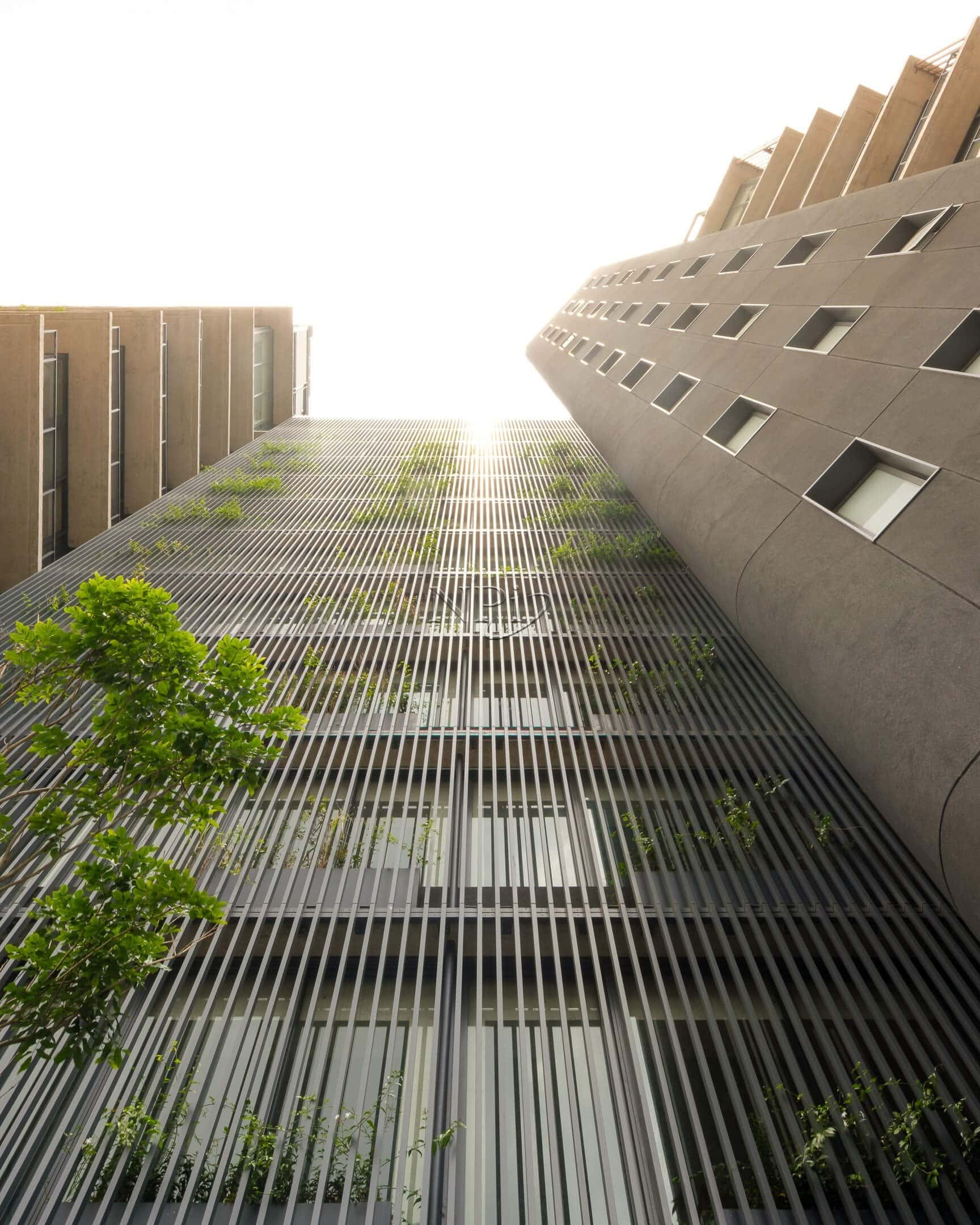 Harmonia 1250 - imagem 5