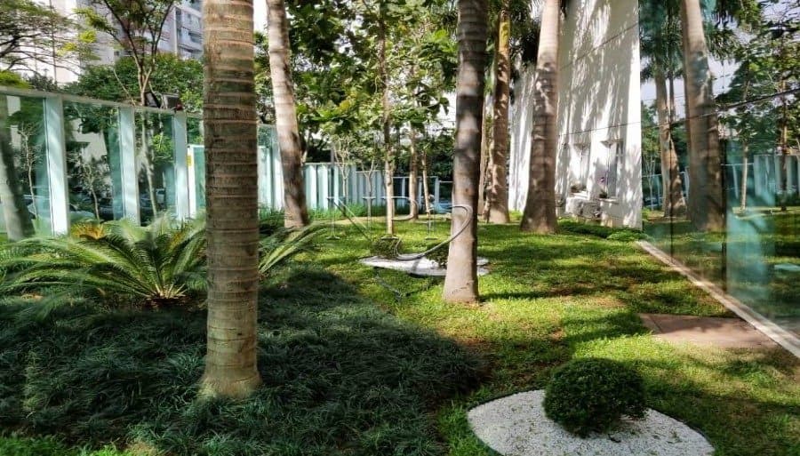 Sky Campo Belo - imagem 3
