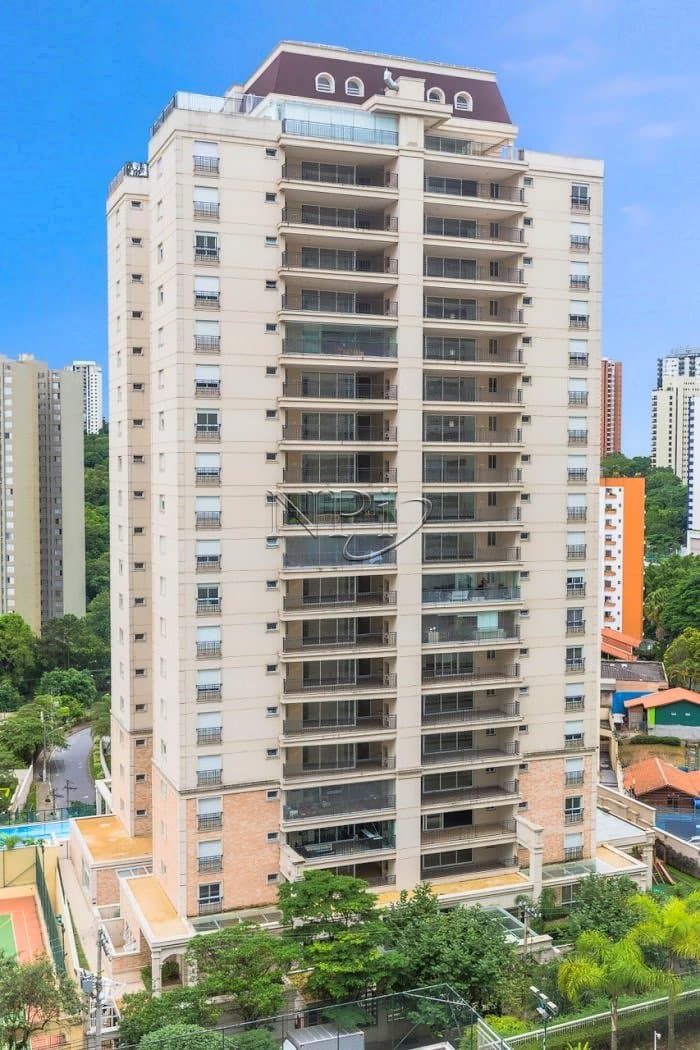 Selective Morumbi - imagem 3