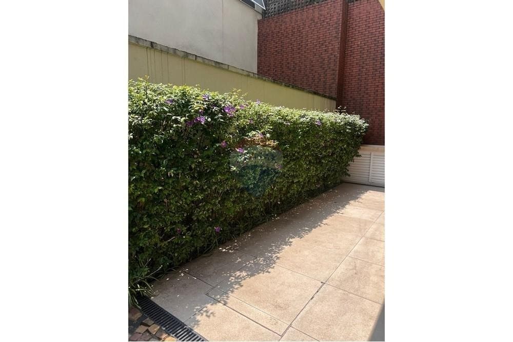 Rua Joaquim Cândido de Azevedo Marques 541 - imagem 2