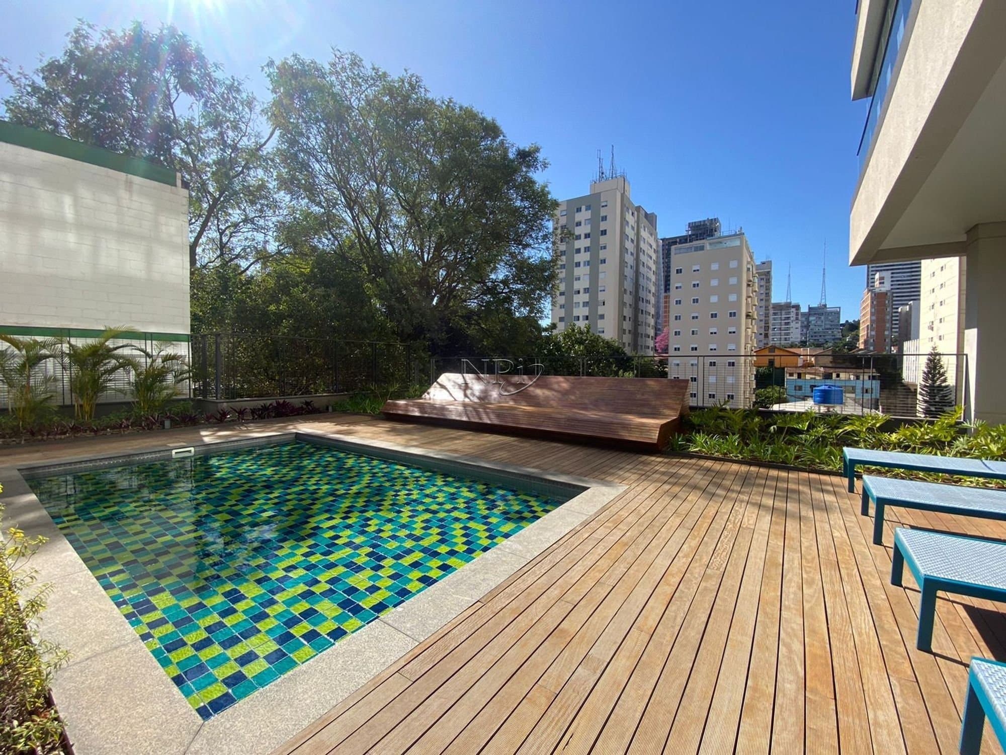Benedito Pinheiros - imagem 4