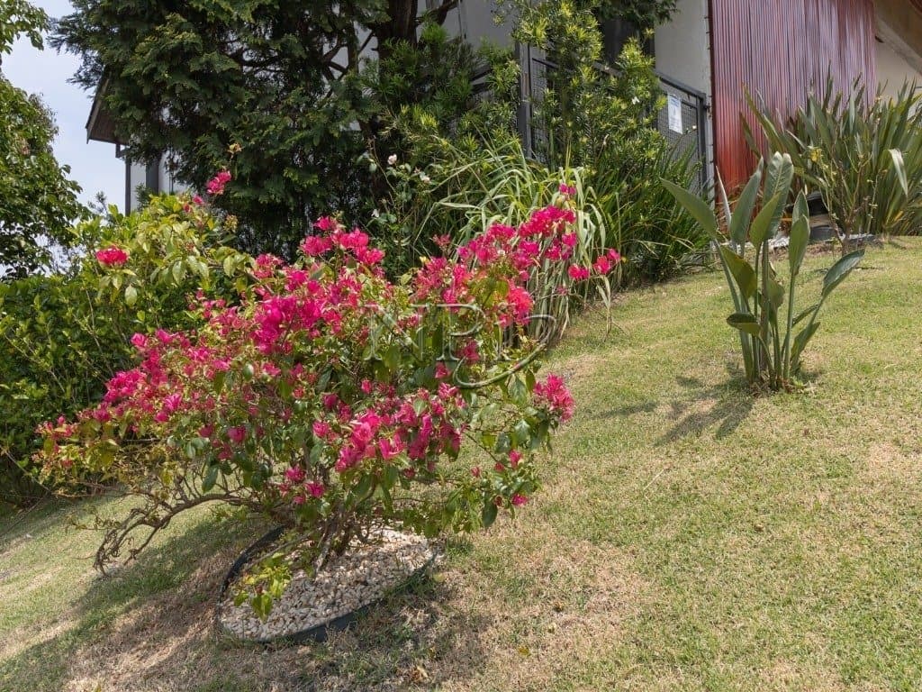 Condomínio Casa Alpha 10 - foto principal