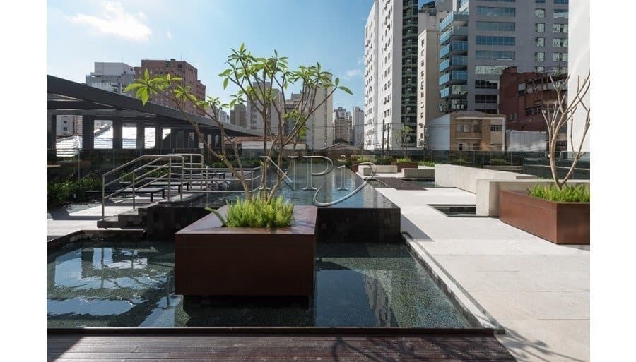 Design Arte Jardins - imagem 4