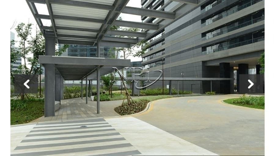 Parque da Cidade - Torre Paineira - imagem 3