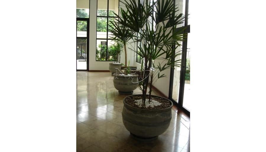 Condominium Splendid Jureia Saude - imagem 3