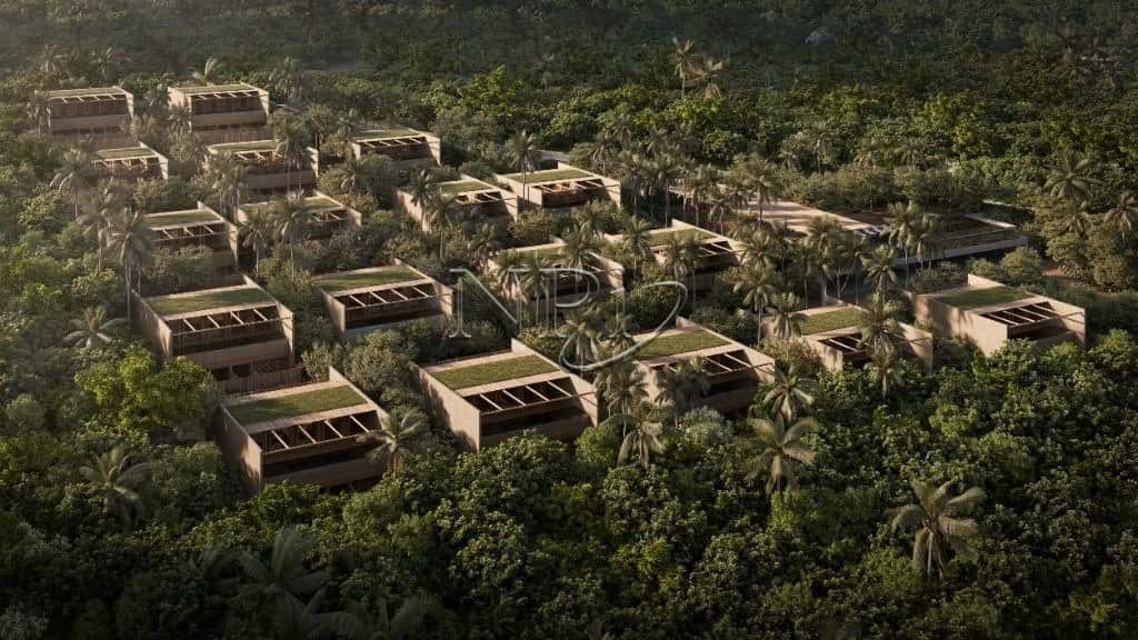 A Mata Trancoso - imagem 5 A Mata Trancoso - imagem 5