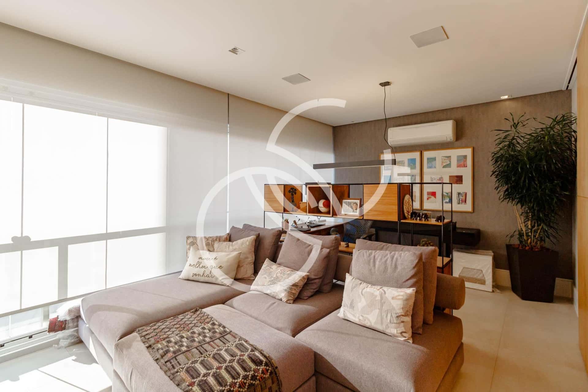 Acervo Pinheiros - imagem 4 Acervo Pinheiros - imagem 4