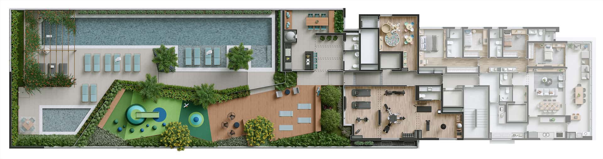 Raiz Perdizes Planta Raiz Perdizes Planta