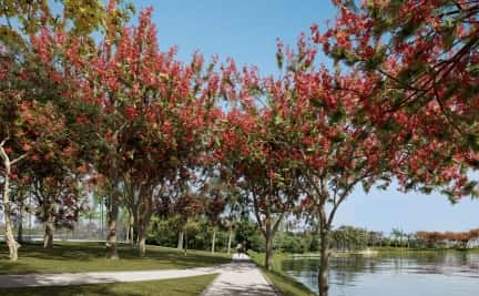 Quinta do Lago Área externa Quinta do Lago Área externa