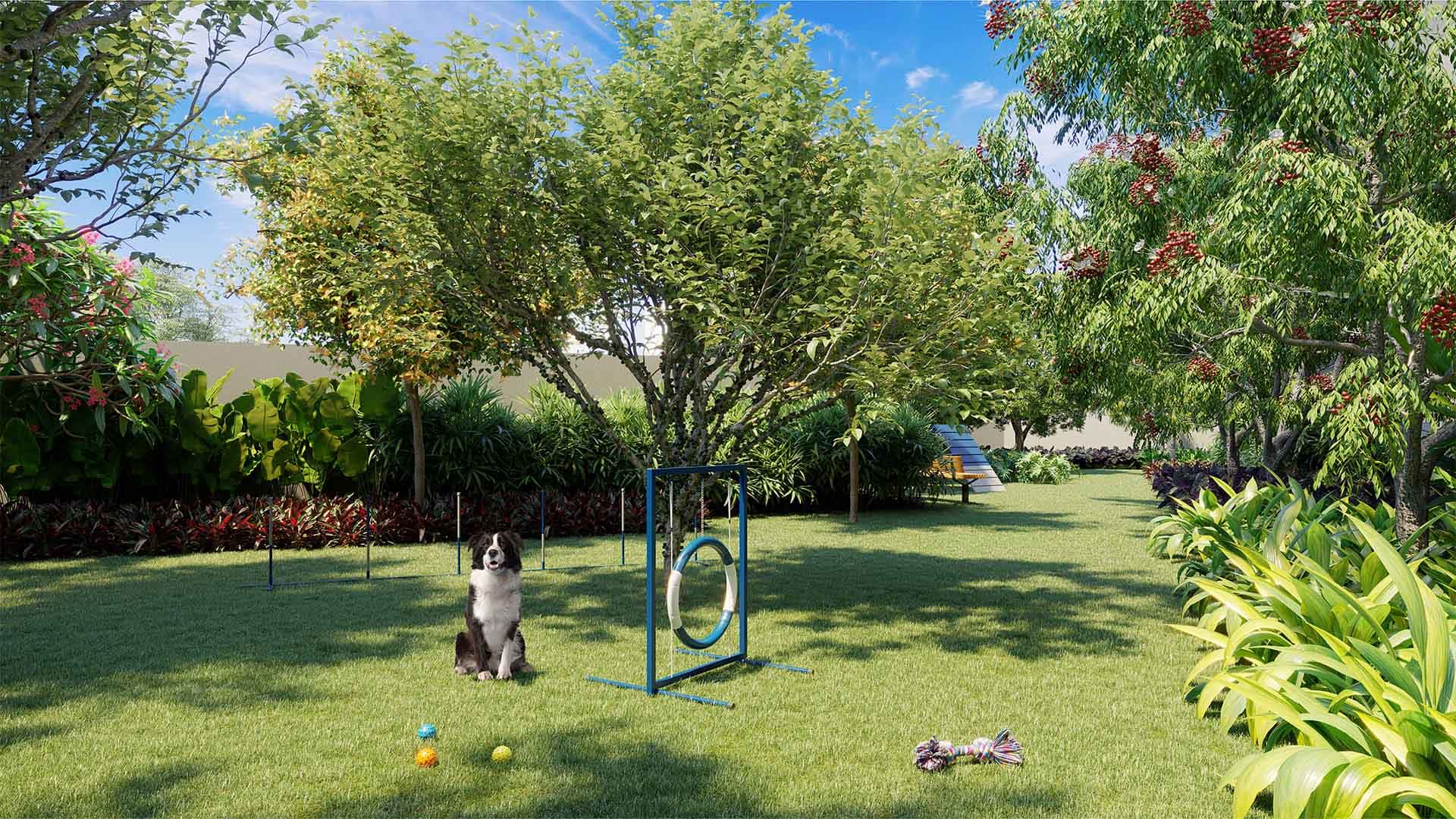 Ari Butanta Fibra Parque para cães Ari Butanta Fibra Parque para cães