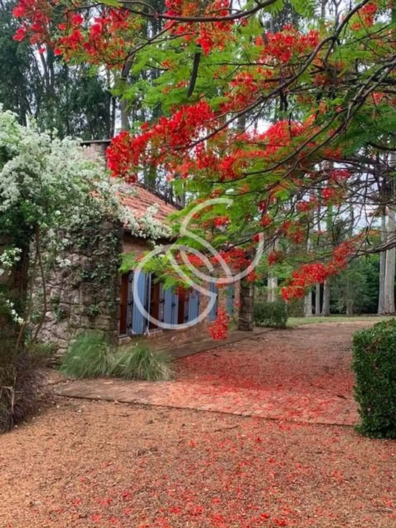 Fazenda da Boa Vista Porto Feliz Jardim Fazenda da Boa Vista Porto Feliz Jardim
