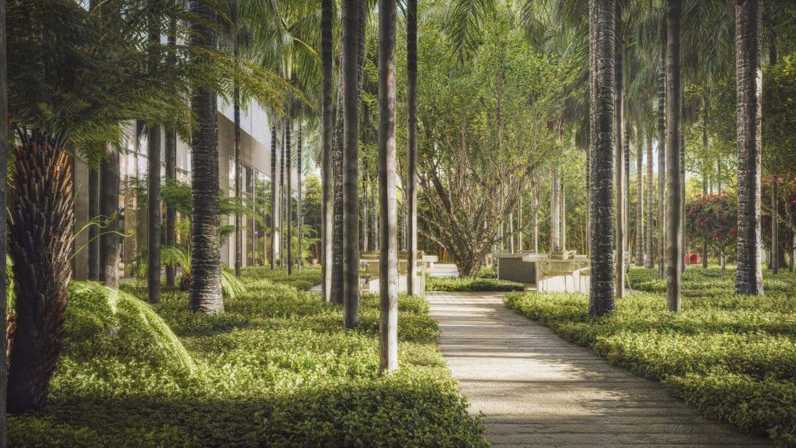 Maam Paraiso Jardim Maam Paraiso Jardim