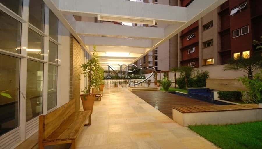 Avis Rara Moema - imagem 4 Avis Rara Moema - imagem 4