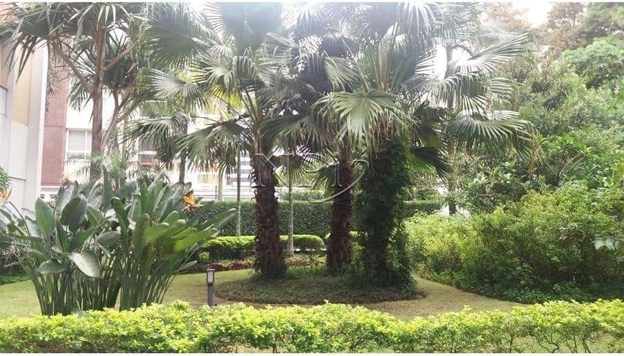 Condominio Matisse Paraíso - imagem 4 Condominio Matisse Paraíso - imagem 4