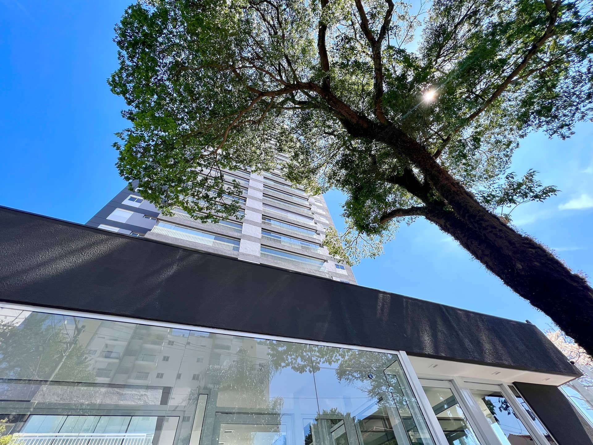 Pleno Santa Cruz Pleno Santa Cruz - foto principal