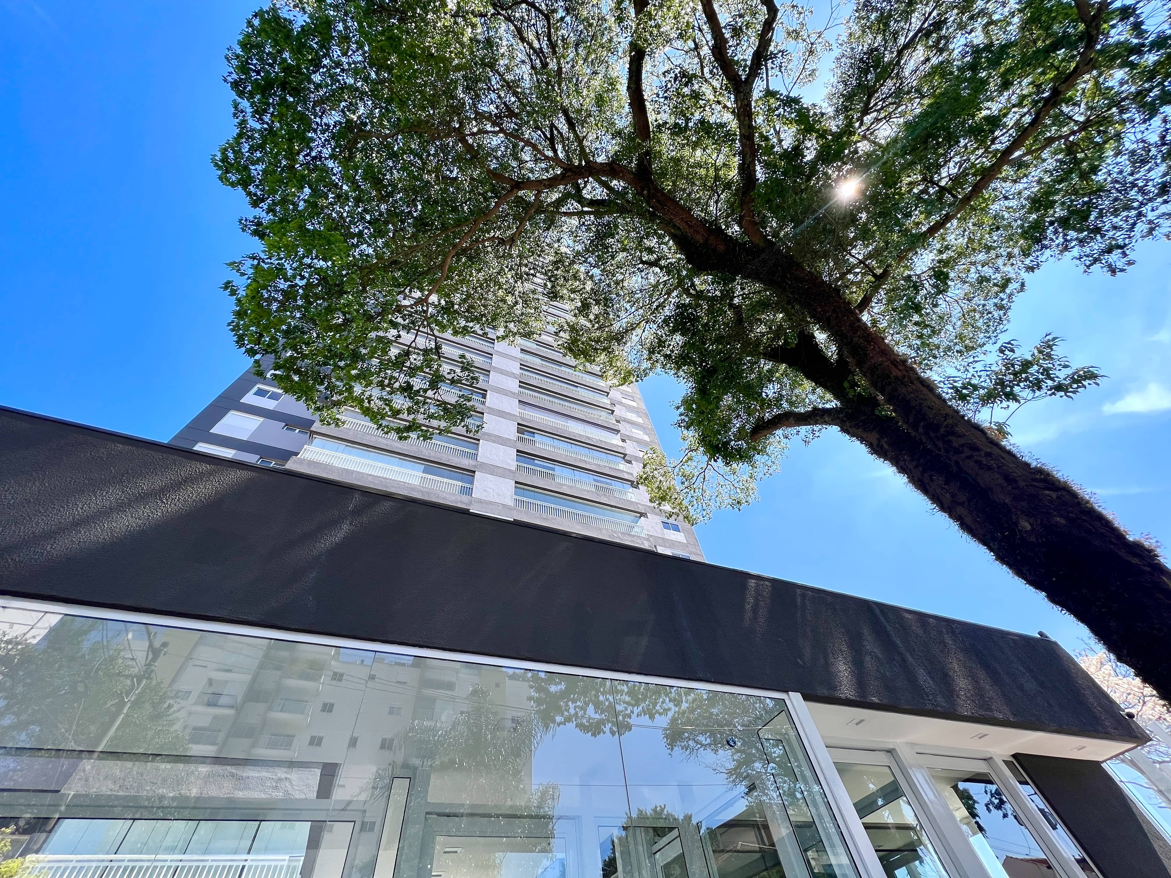 Pleno Santa Cruz Pleno Santa Cruz - foto principal