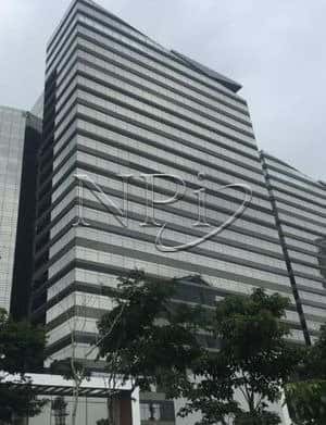 Parque da Cidade - Torre Paineira - imagem 2 Parque da Cidade - Torre Paineira - imagem 2