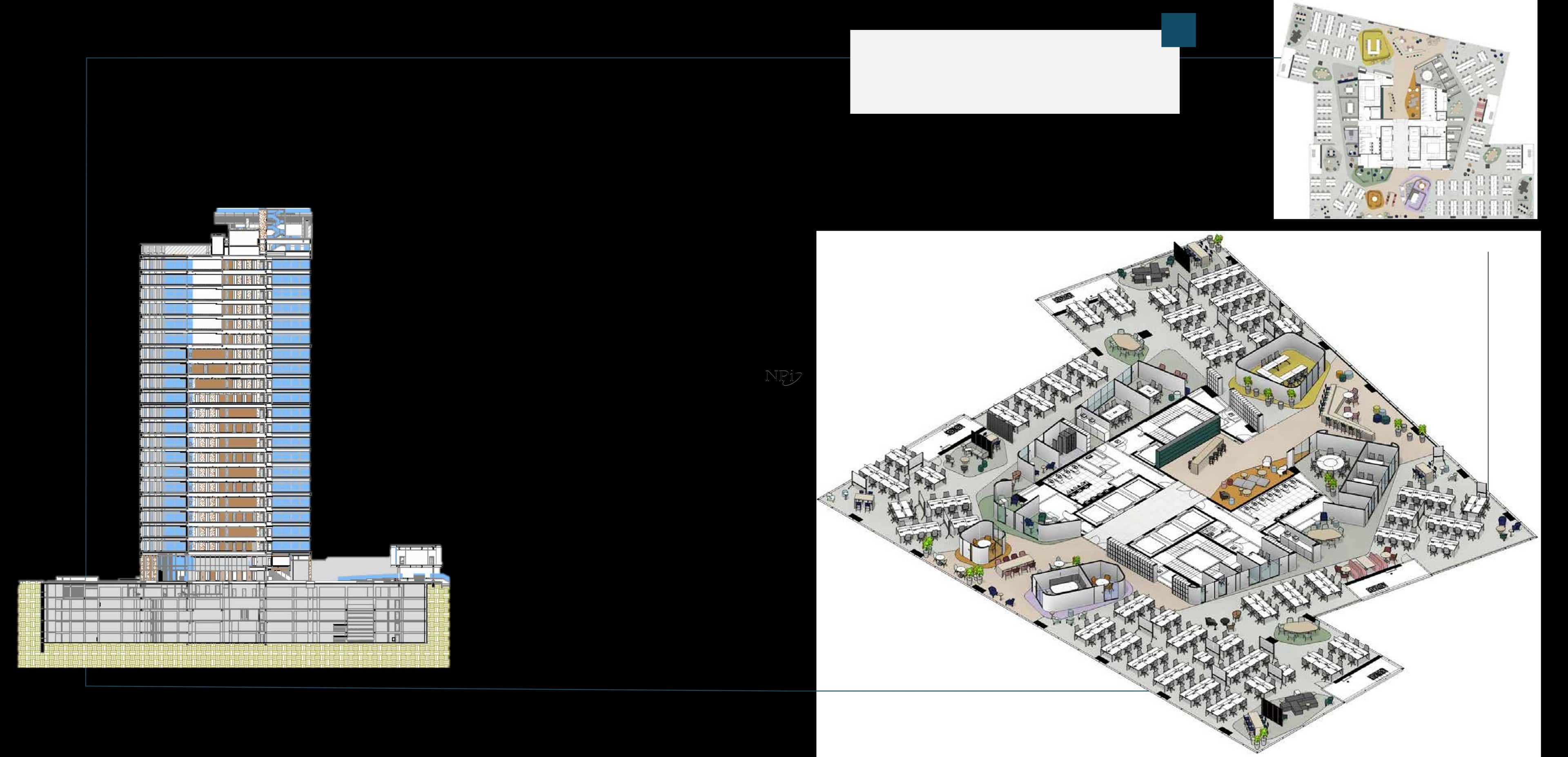 Parque da Cidade - Torre Paineira - imagem 3 Parque da Cidade - Torre Paineira - imagem 3