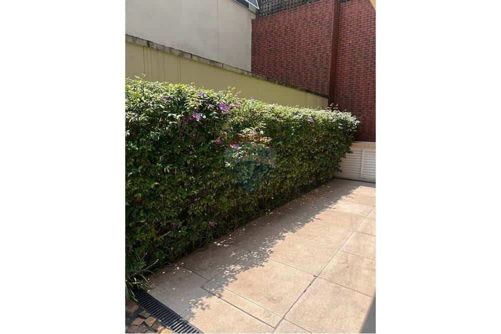 Rua Joaquim Cândido de Azevedo Marques 541 - imagem 2 Rua Joaquim Cândido de Azevedo Marques 541 - imagem 2