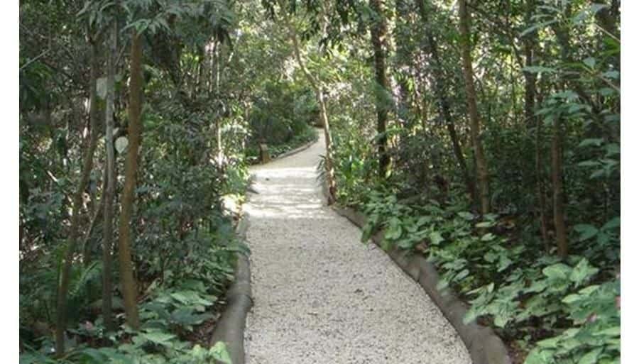 Anauá Panamby Cobertura - imagem 4 Anauá Panamby Cobertura - imagem 4