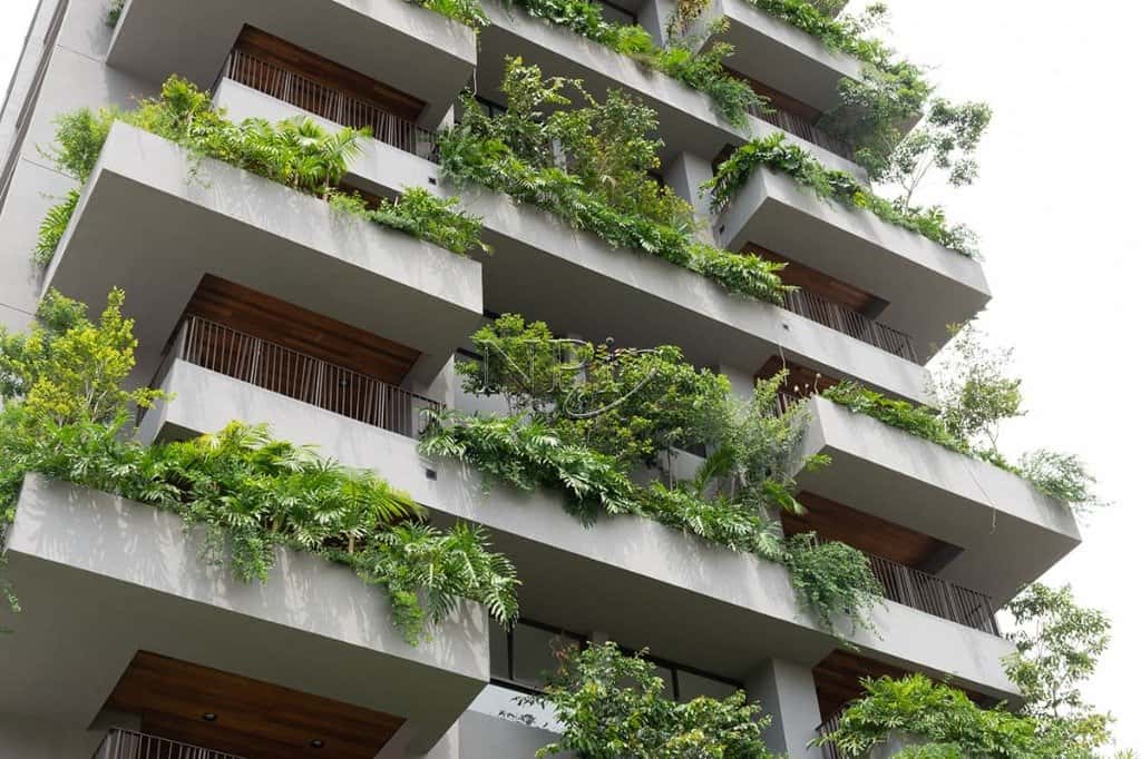 Seed Vila Olimpia - imagem 5 Seed Vila Olimpia - imagem 5