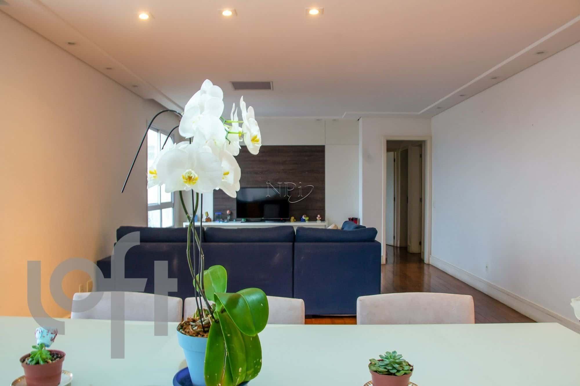 Atelier Galeria Vila Romana - imagem 2 Atelier Galeria Vila Romana - imagem 2