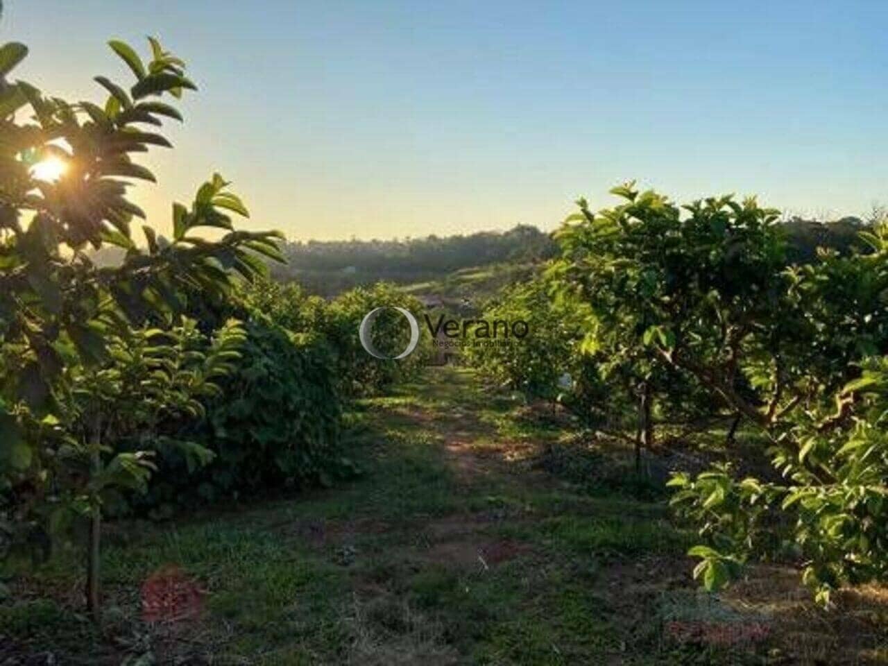 Sitio a Venda Em Valinhos Sitio a Venda Em Valinhos - foto principal