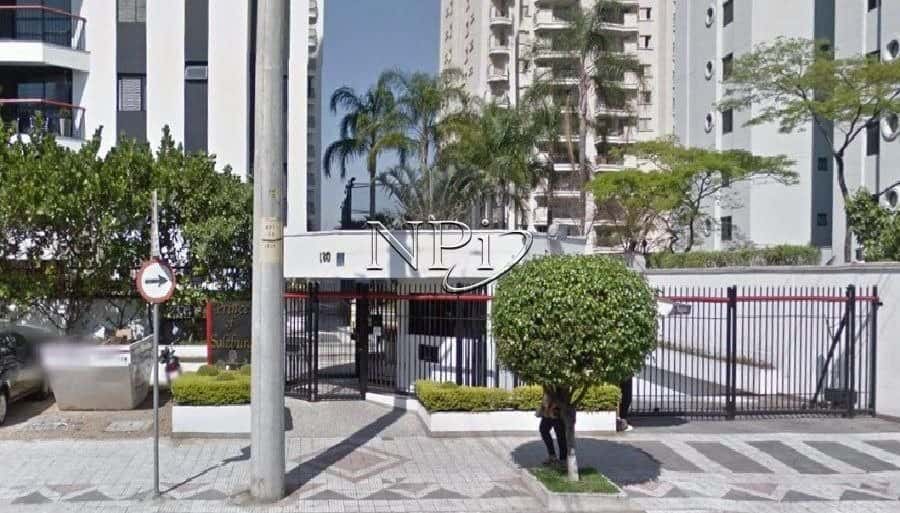 Prince Of Salzburg Moema - imagem 3 Prince Of Salzburg Moema - imagem 3