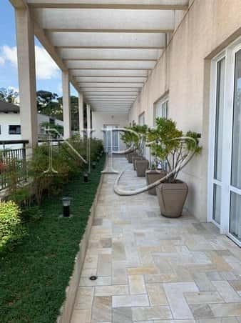 Massimo Vila Mascote - imagem 4 Massimo Vila Mascote - imagem 4