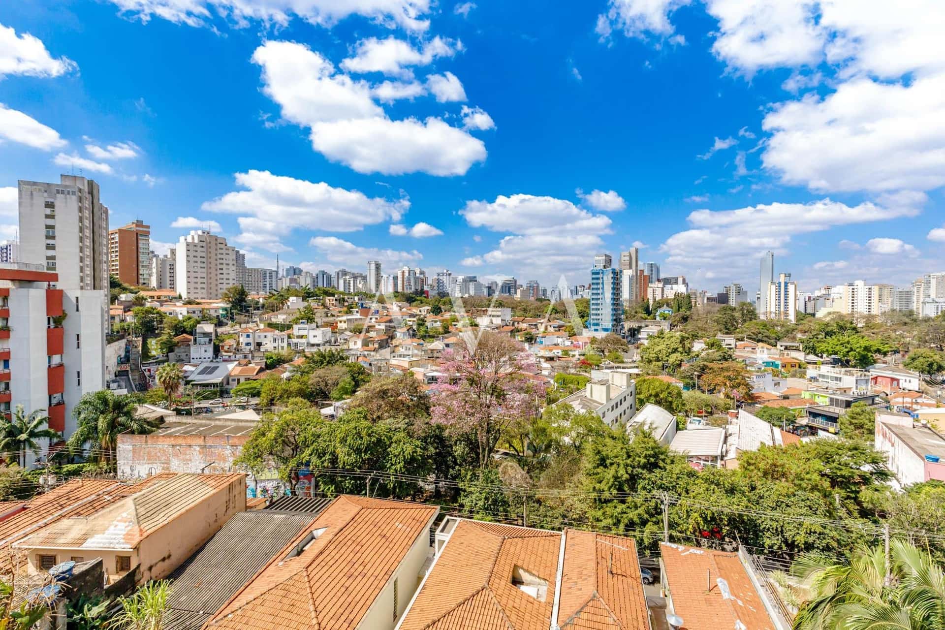 Pop Madalena - imagem 5 Pop Madalena - imagem 5