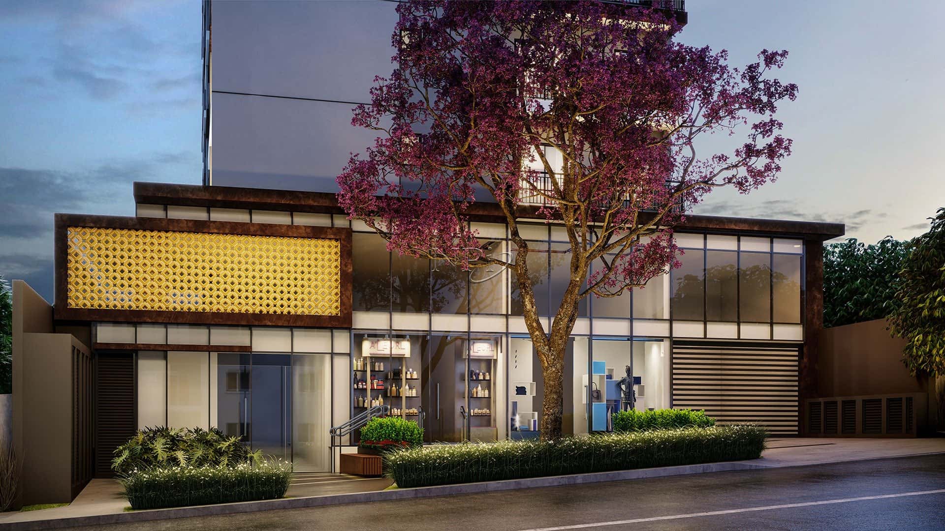 Calixt Pinheiros - imagem 3 Calixt Pinheiros - imagem 3