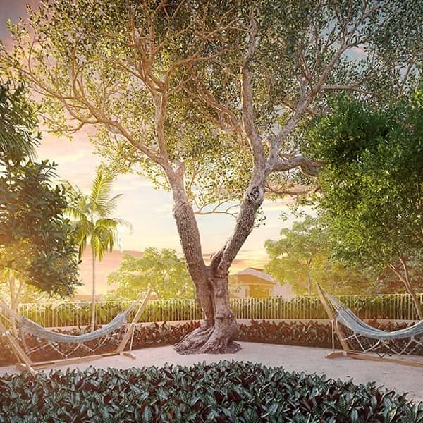 Villa Arvo Ipiranga - imagem 4 Villa Arvo Ipiranga - imagem 4