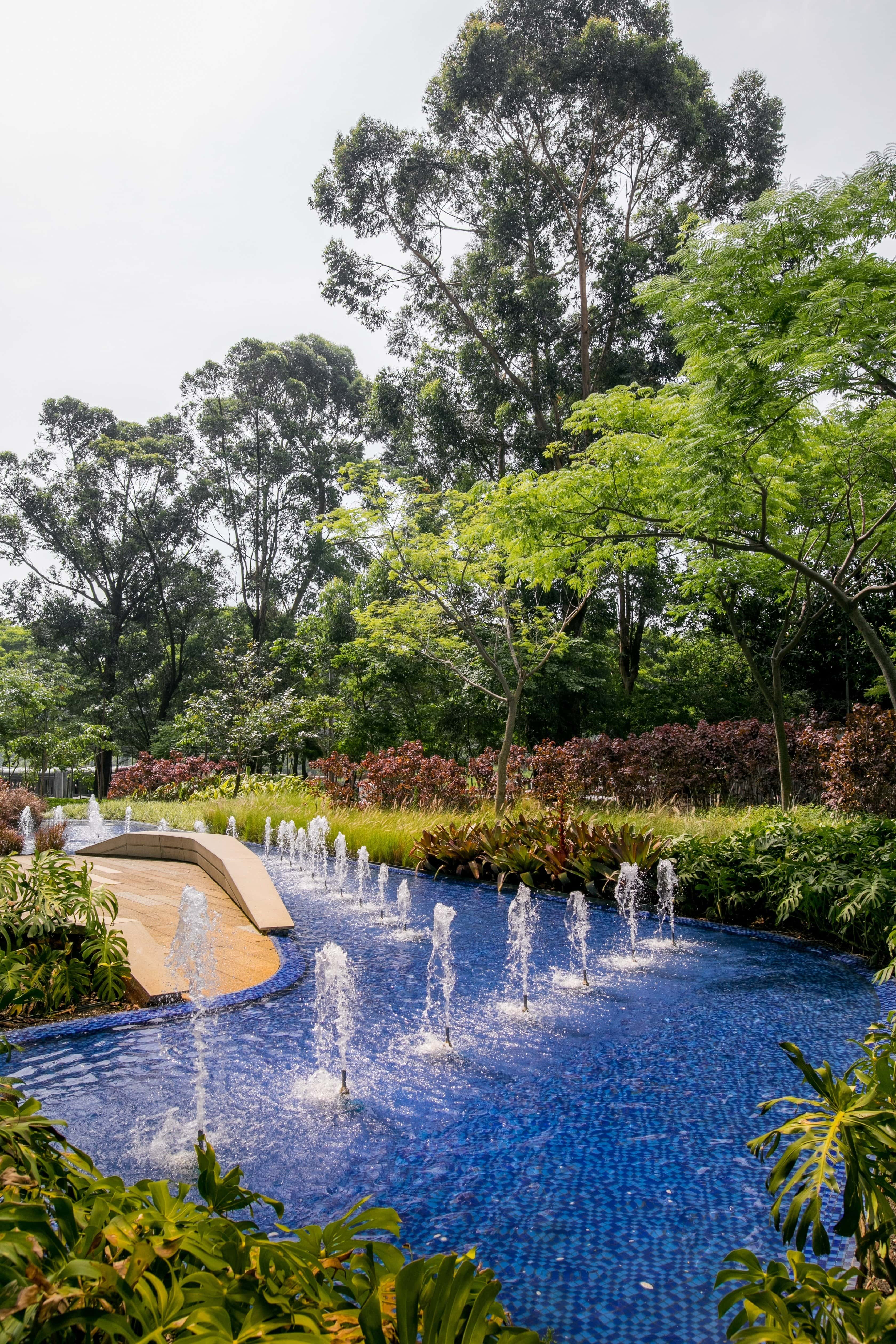 Parque da Cidade - Torre Sucupira - imagem 4 Parque da Cidade - Torre Sucupira - imagem 4